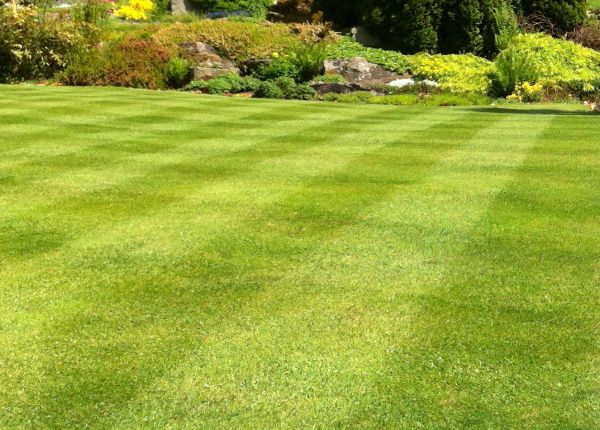 Commercial Grass Cutting in North Canton