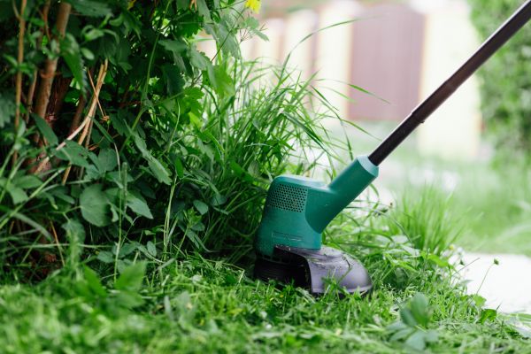 Weed Whacking in North Canton