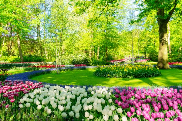 Cost of Spring Lawn Care in North Canton