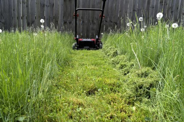 High Grass Mowing in North Canton