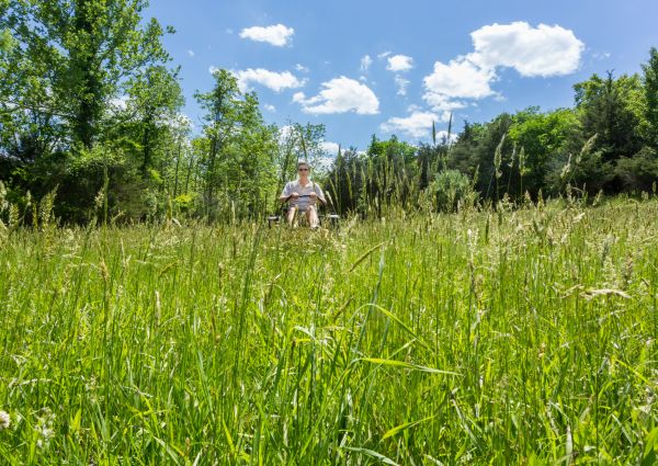 Long Grass Mowing in North Canton