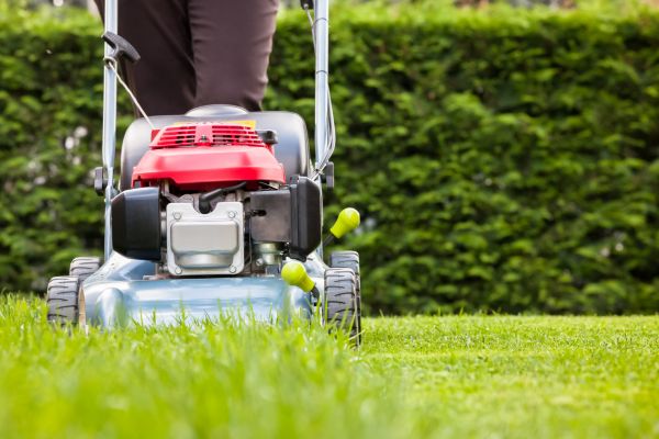 Grass Trimming Service in North Canton