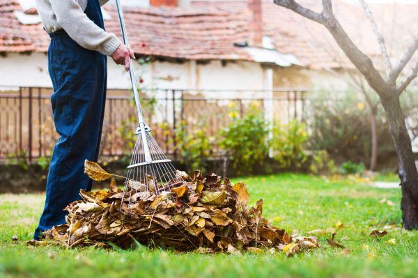 Cost of Routine Lawn Maintenance in North Canton