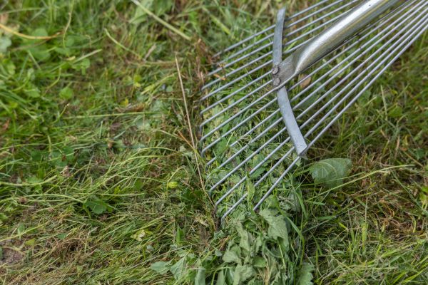Cost of Thatch Raking in North Canton