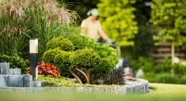 Residential Yard Maintenance in North Canton