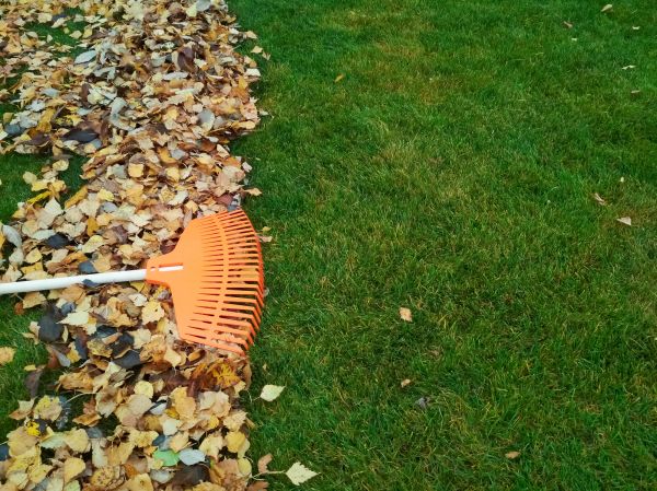 Fall Lawn Care in North Canton