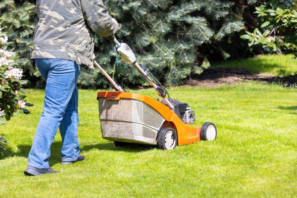 Cost of Springtime Lawn Care in North Canton