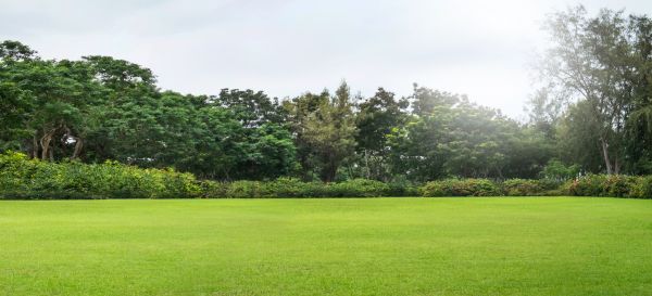Golf Course Mowing in North Canton