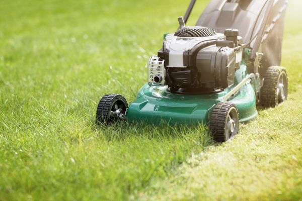 Cost of Spring Grass Trimming in North Canton
