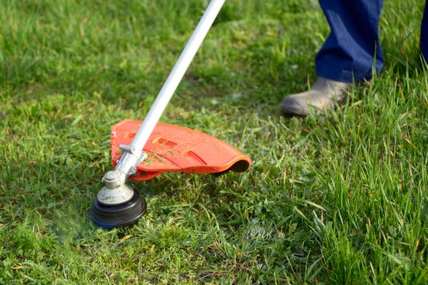 Cost of Lawn Weed Whacking in North Canton