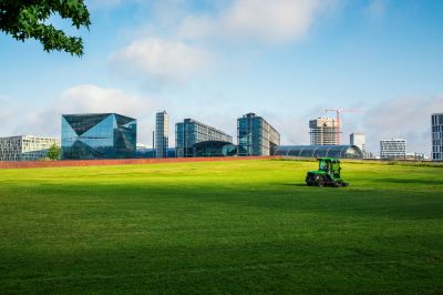 Commercial Lawn Care detail