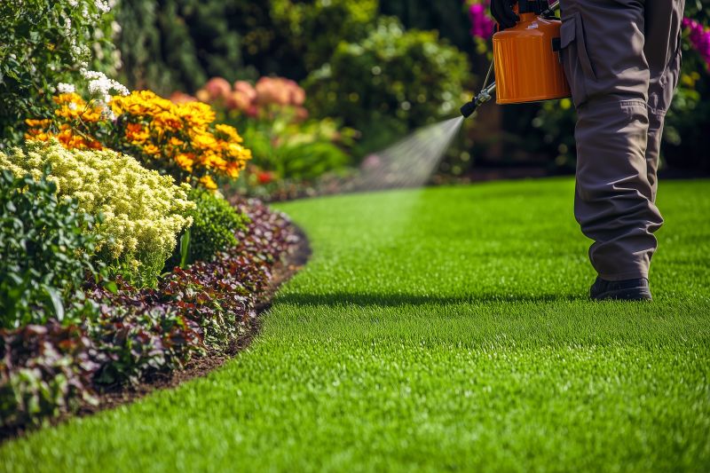 Lawn Care And Maintenance